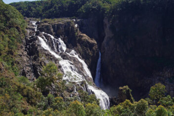 Kuranda — Wallabies y Kiwis
