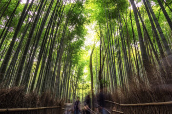 KYOTO — Japón por Libre 15 días