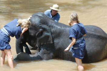 CHIANG MAI — Tailandia en familia con Koh Samui