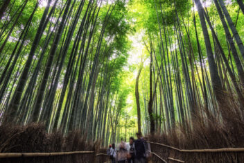 KYOTO — Japón y sus Parques Temáticos