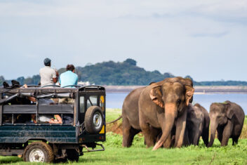 Parque Nacional de Yala — Explore Sri Lanka con playas Suroeste