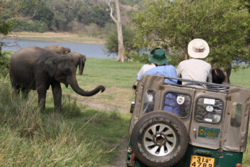 Safari en Yala — Sri Lanka y Maldivas