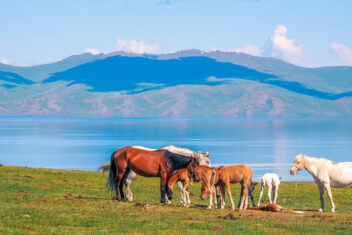 Lago Son-Kul, Kirguistán — Expedición por Kirguistán