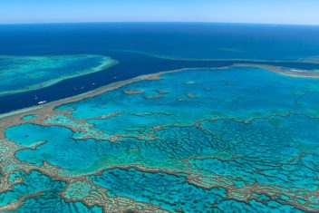 Gran Barrera de Coral, Cairns — Australia Esencial