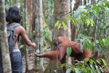MEDAN – BOHOROK – MEDAN — Sumatra, Java y Bali